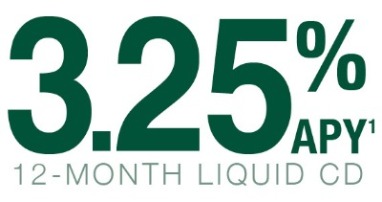 Image of text showing 12-month liquid CD rate