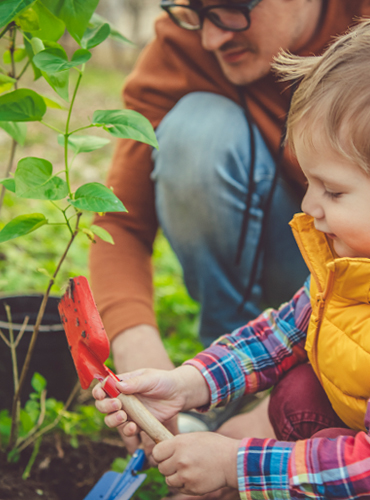 Father and son planting a tree
