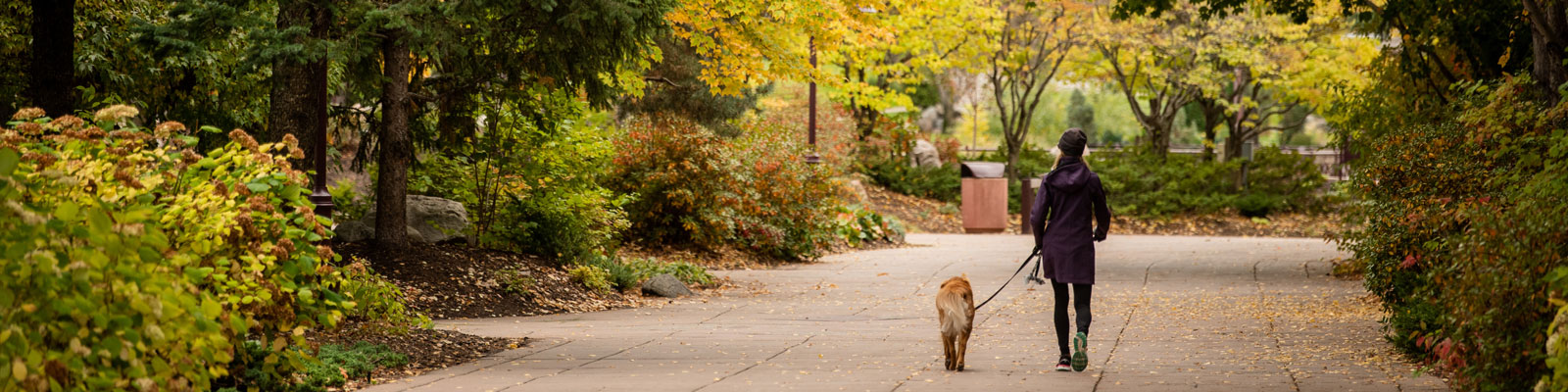 Woman walking dog on South Dakota State University campus in Brookings, SD.