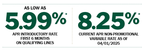 HELOC rate as of April 1, 2025. 5.99% APR introductory rate. 8.25% current APR non-promotional variate rate.