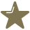 Star icon